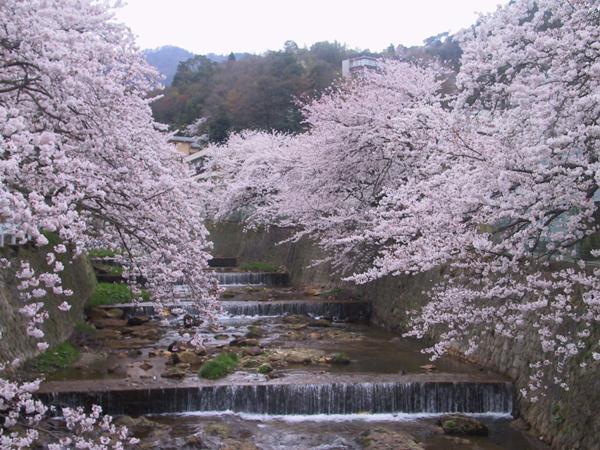 Kadonobo Ryokan Kobe Exteriör bild